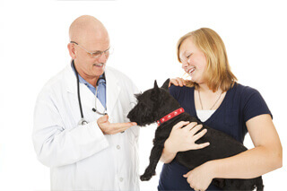 Doctor examining Dog