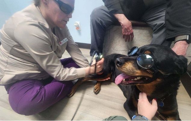 Laser Therapy