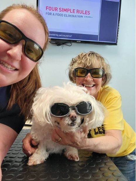 Laser Therapy