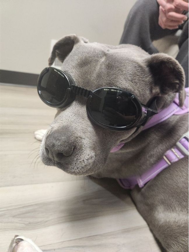 Laser Therapy
