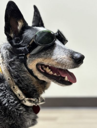 Laser Therapy